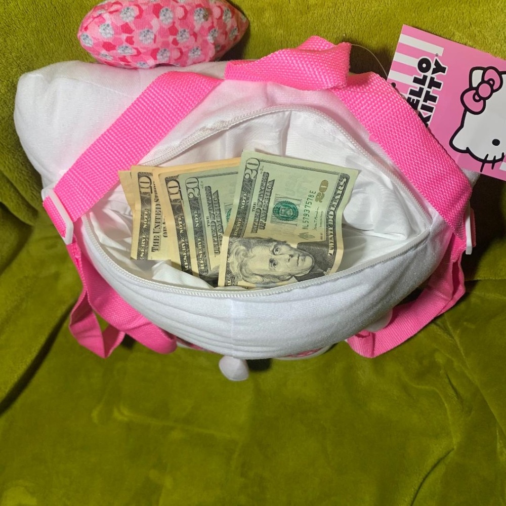 firm price NWT Hello Kitty Plush Backpack pink and white - Picture 6 of 6